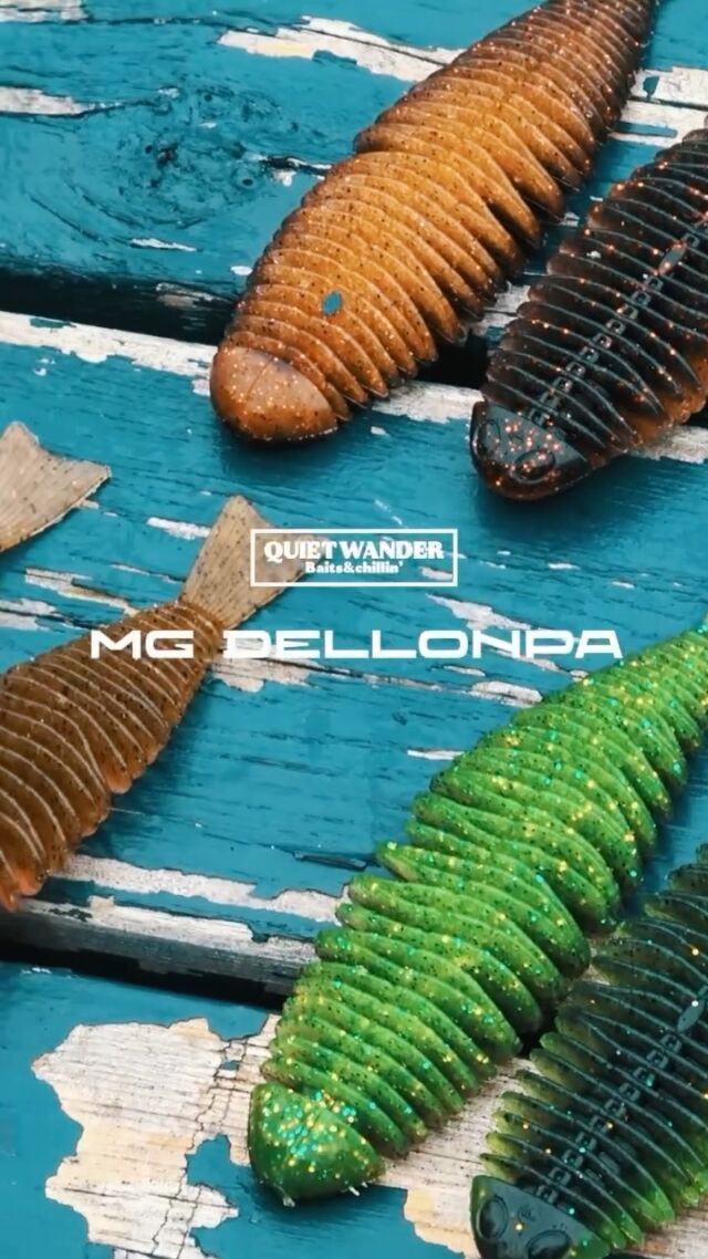新作ワーム【MGデロンパ】
10月1日（木）AM10:00〜販売開始‼️🔥
オンラインストアにて発売致しますので、お楽しみに！

レビューにはQUIETWANDERプロスタッフの鶴岡克芳さんが撮影のご協力をしてくれました📷
亀山ダムにて、とんでもないビッグモンスターを釣り上げ、MGデロンパのルアーパワーを魅せてくれました‼️

その映像も後日YouTubeにてUPいたしますので、フォローしてお待ちください😊

#バス釣り 
#quietwander 
#バスフィッシング 
#亀山ダム
#60アップ